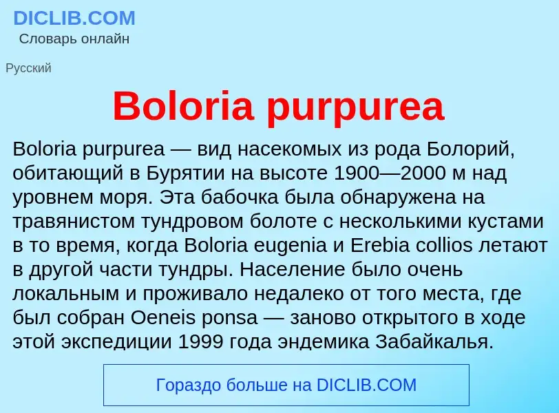 What is Boloria purpurea - meaning and definition