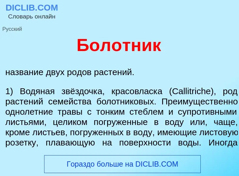 What is Бол<font color="red">о</font>тник - definition