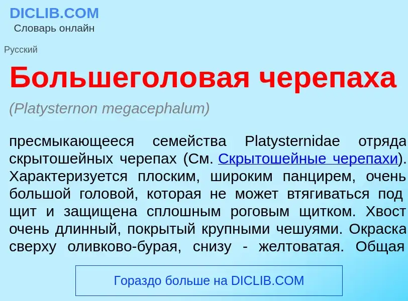 Что такое Большегол<font color="red">о</font>вая череп<font color="red">а</font>ха - определение