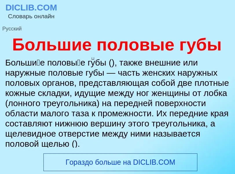 Was ist Большие половые губы - Definition