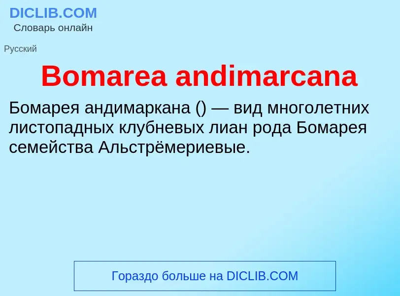 What is Bomarea andimarcana - meaning and definition