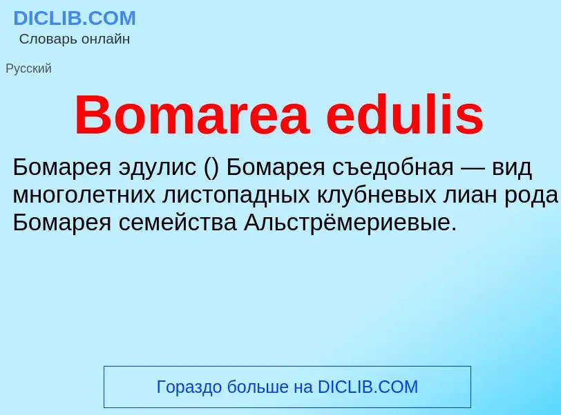 What is Bomarea edulis - meaning and definition