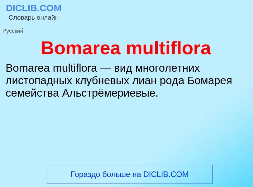 What is Bomarea multiflora - meaning and definition