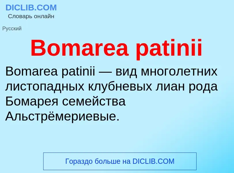 What is Bomarea patinii - meaning and definition