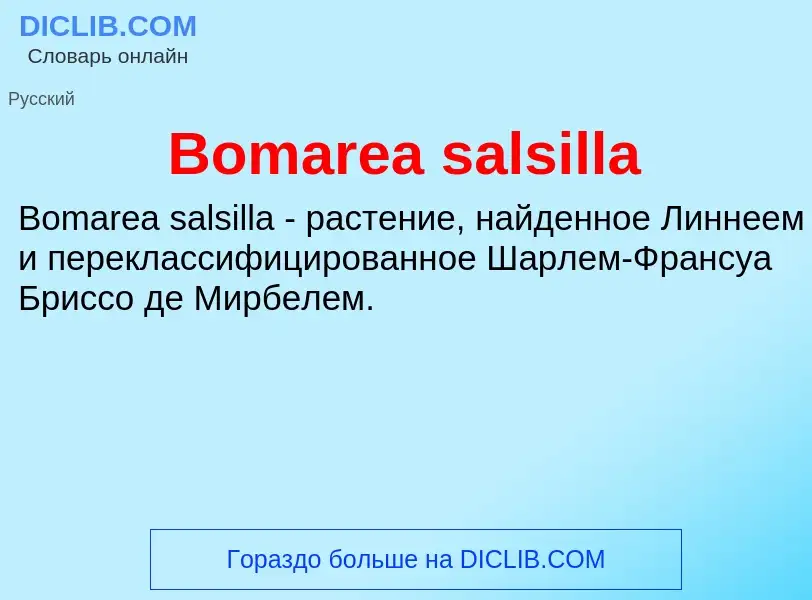 What is Bomarea salsilla - meaning and definition