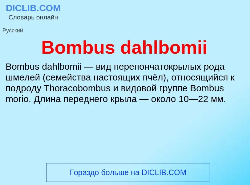 What is Bombus dahlbomii - meaning and definition