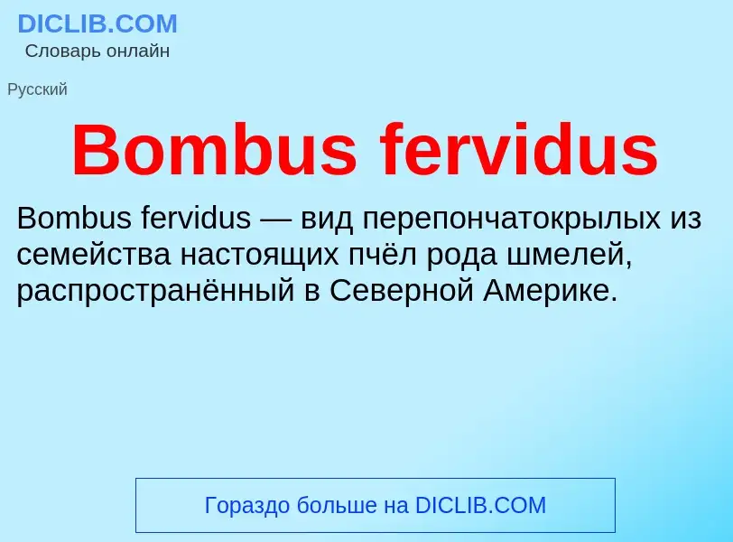 What is Bombus fervidus - meaning and definition