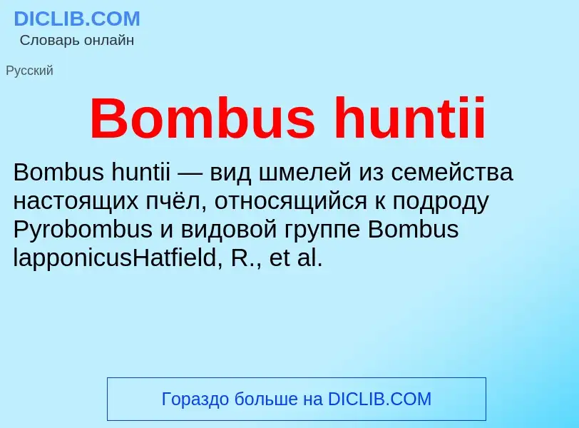 What is Bombus huntii - meaning and definition