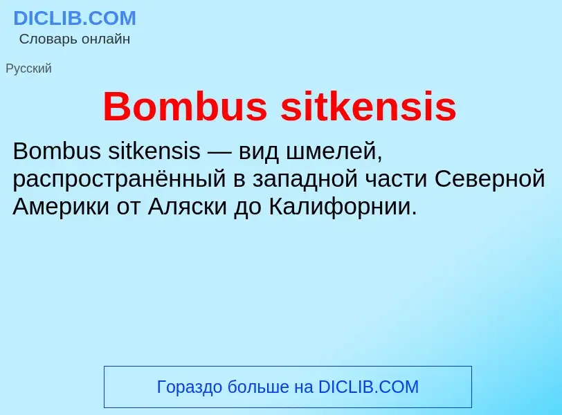 Was ist Bombus sitkensis - Definition