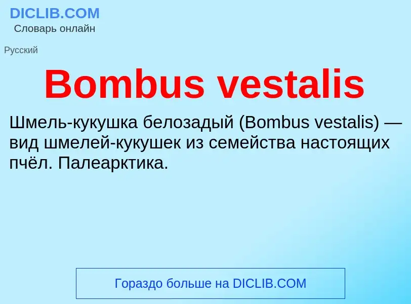 Was ist Bombus vestalis - Definition