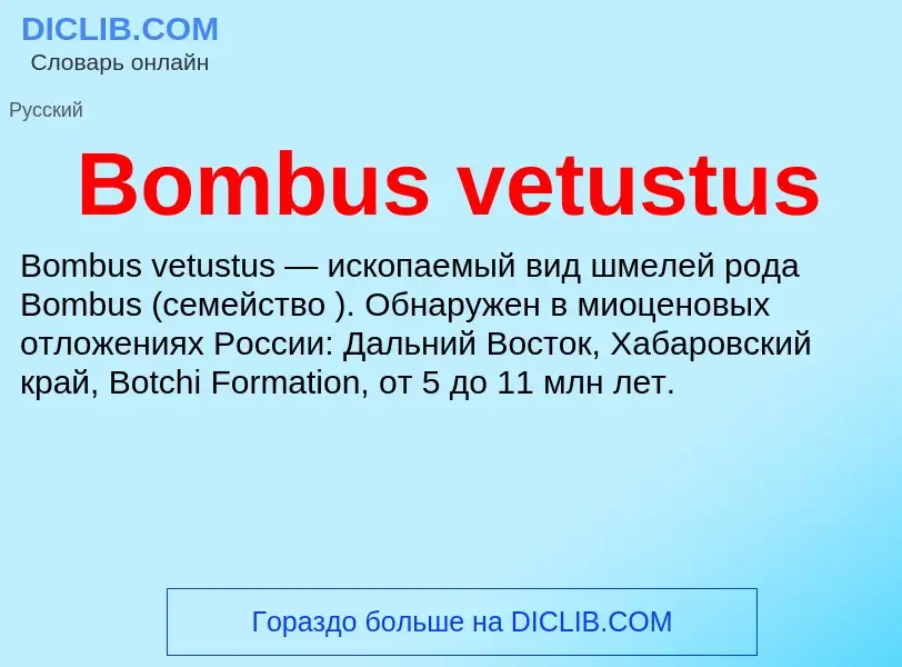 What is Bombus vetustus - meaning and definition