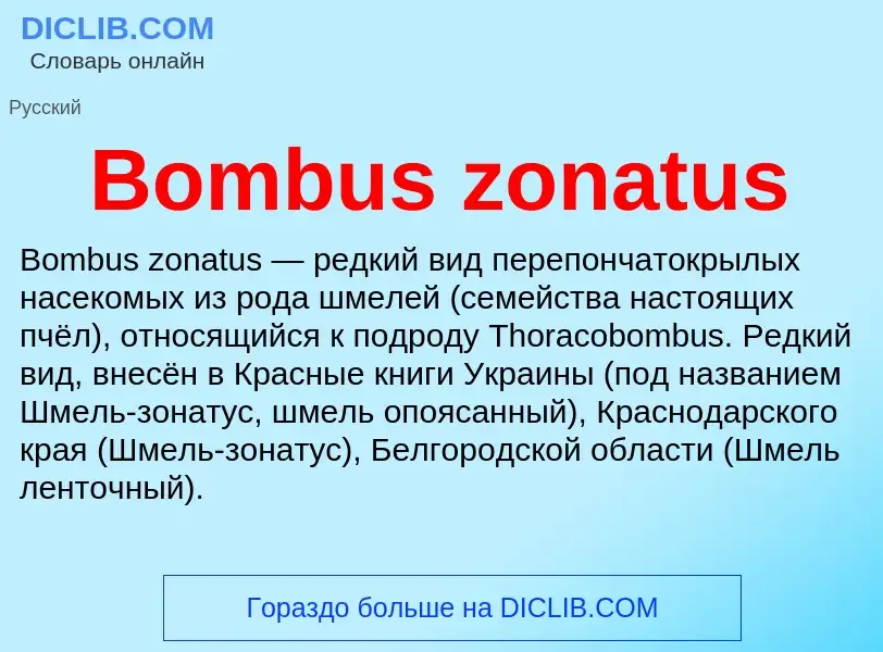 What is Bombus zonatus - meaning and definition