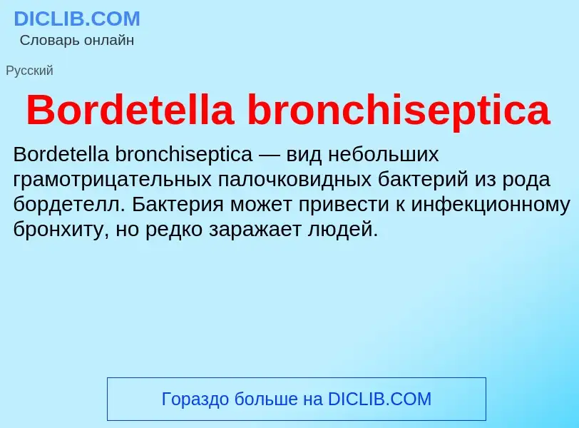 Was ist Bordetella bronchiseptica - Definition