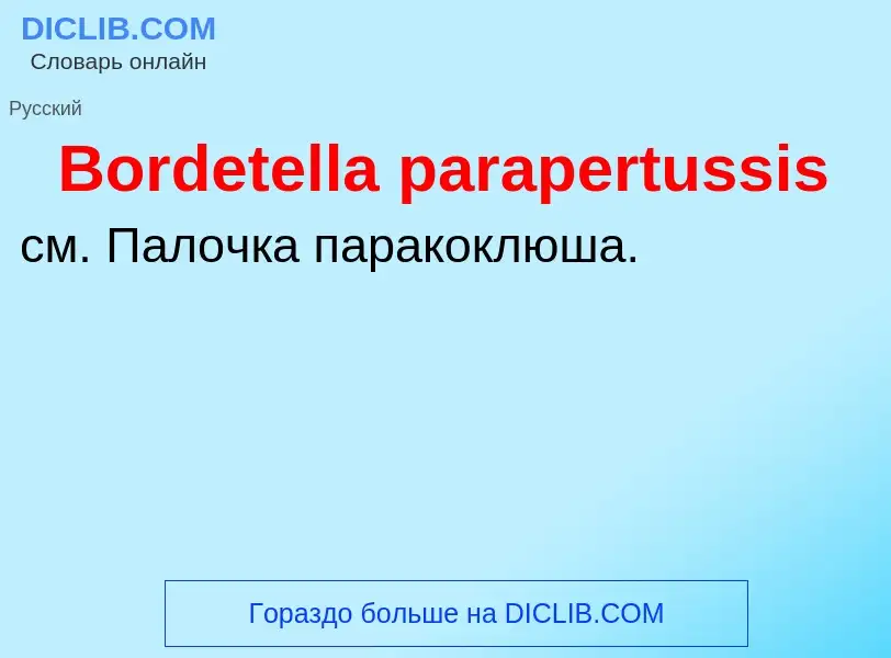 What is Bordetella parapertussis - meaning and definition