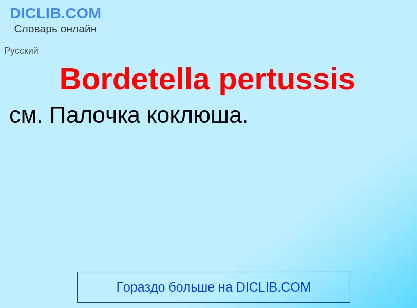 O que é Bordetella pertussis - definição, significado, conceito