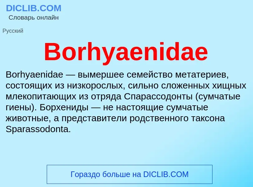 What is Borhyaenidae - meaning and definition