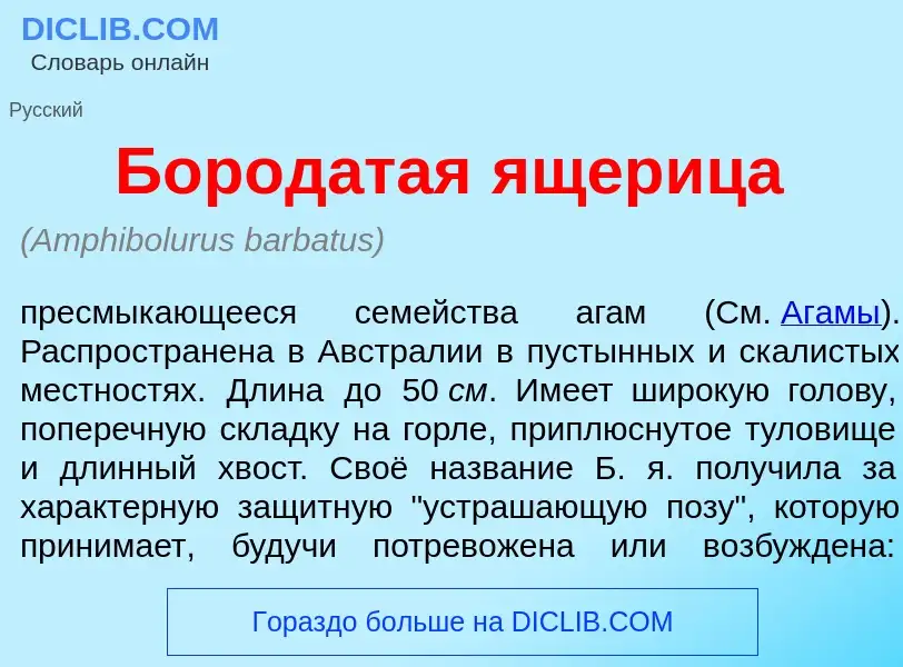 Что такое Бород<font color="red">а</font>тая <font color="red">я</font>щерица - определение