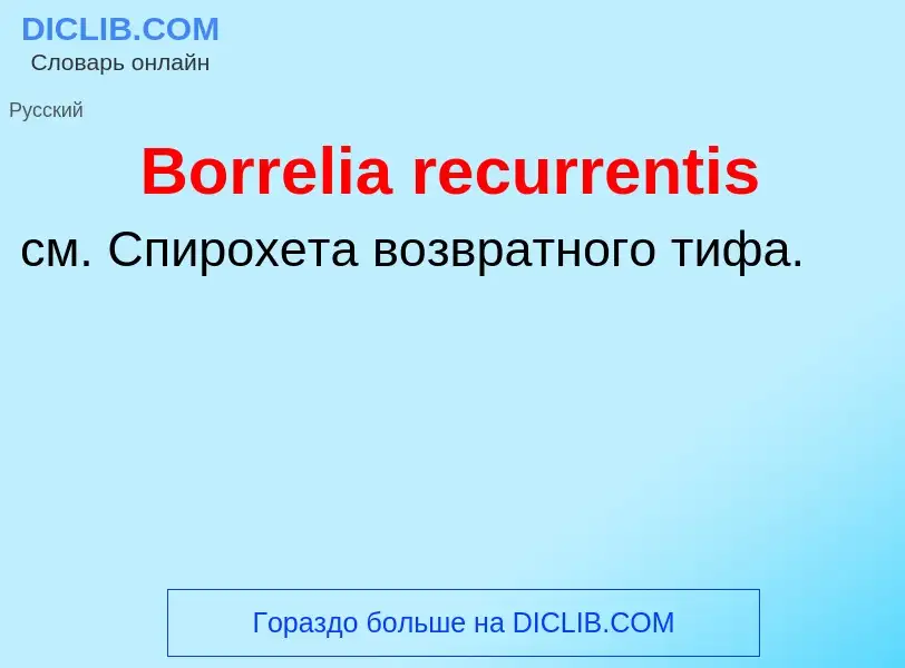 What is Borrelia recurrentis - meaning and definition