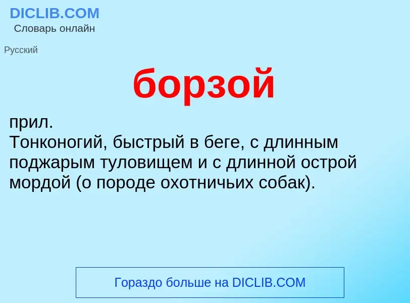 O que é борзой - definição, significado, conceito
