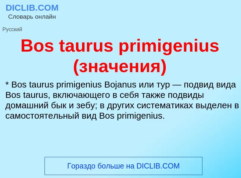 What is Bos taurus primigenius (значения) - meaning and definition