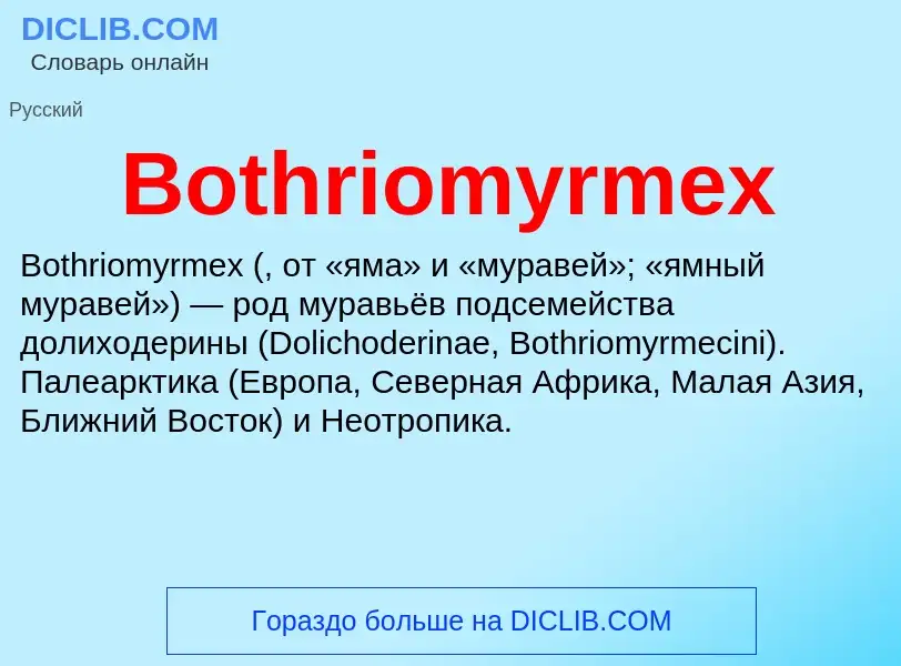 What is Bothriomyrmex - meaning and definition