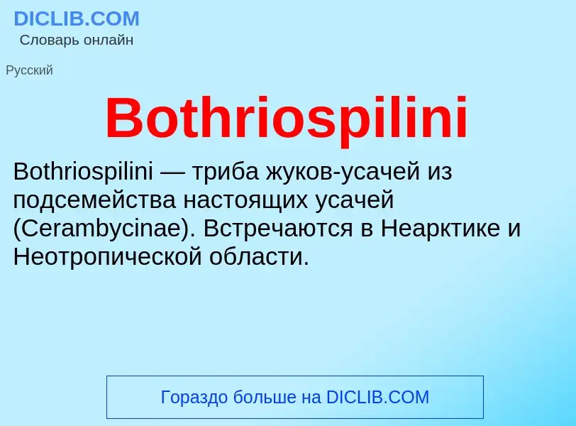 What is Bothriospilini - meaning and definition