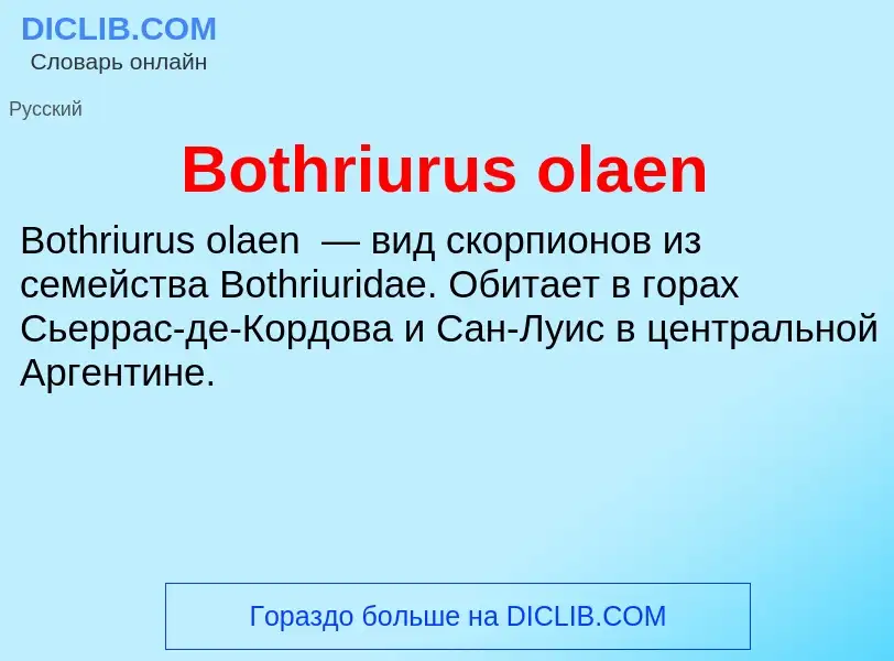 What is Bothriurus olaen - meaning and definition