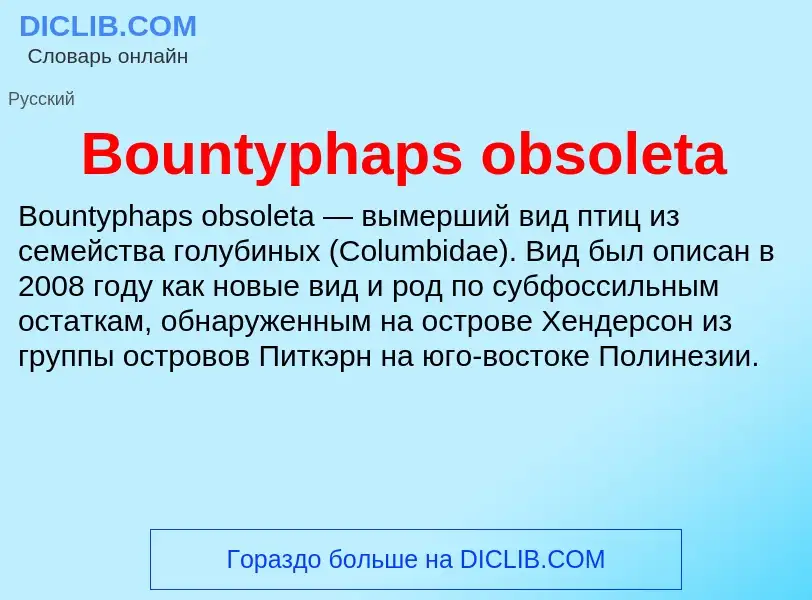 What is Bountyphaps obsoleta - meaning and definition