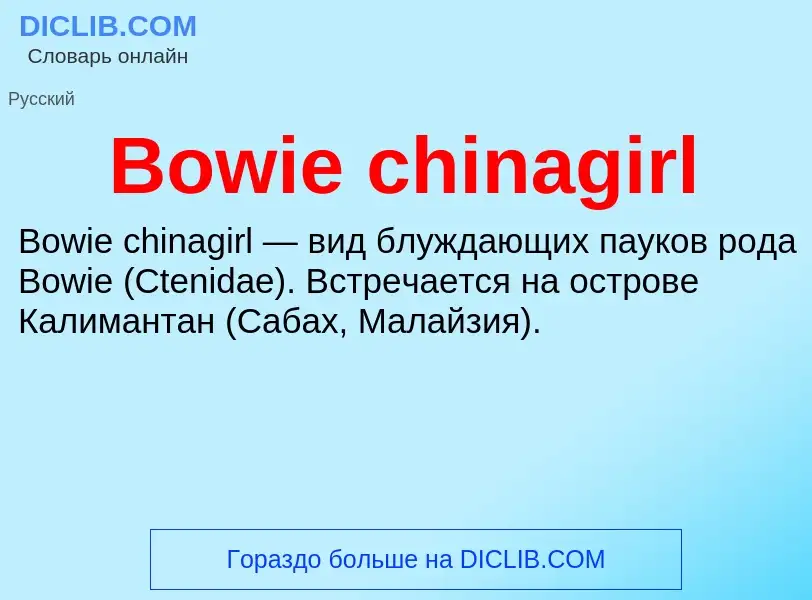 Was ist Bowie chinagirl - Definition