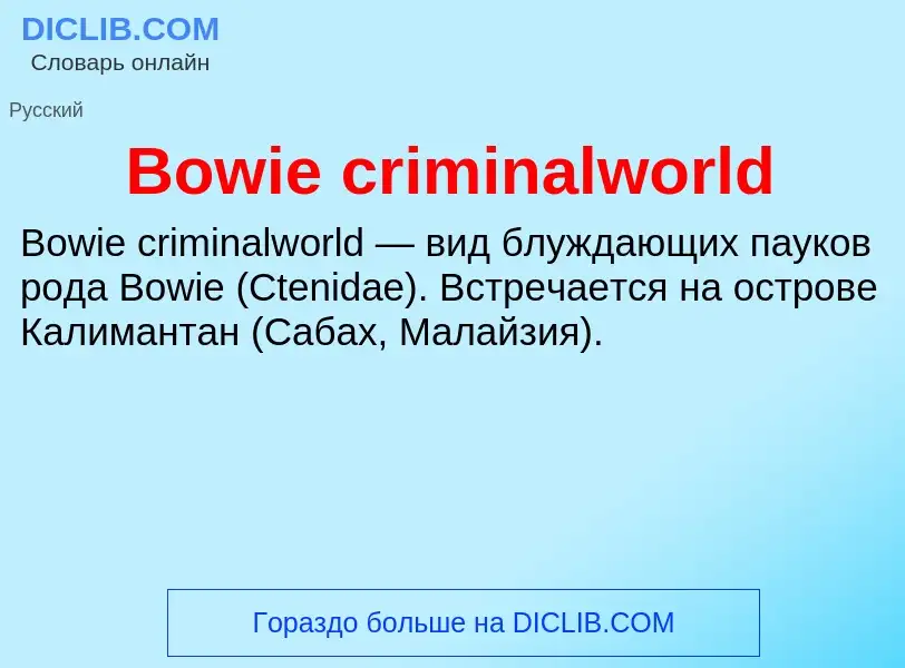 Was ist Bowie criminalworld - Definition