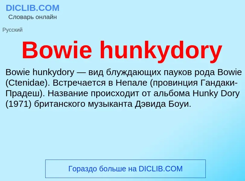 Was ist Bowie hunkydory - Definition