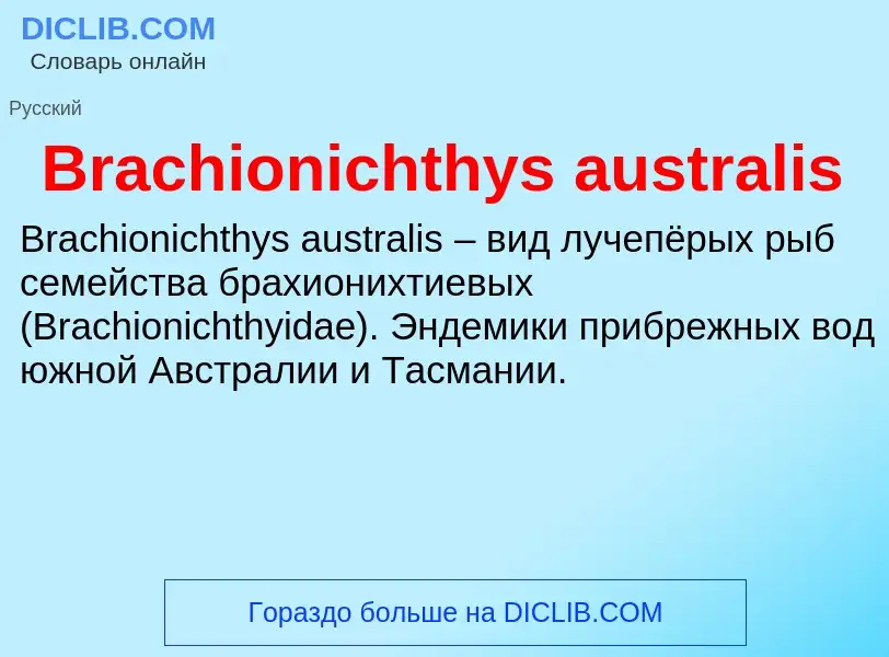 Was ist Brachionichthys australis - Definition