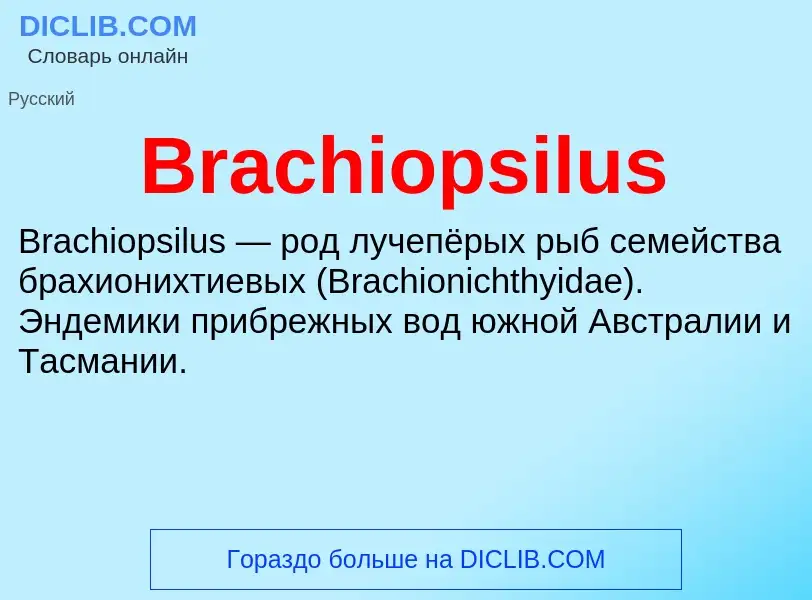 What is Brachiopsilus - meaning and definition