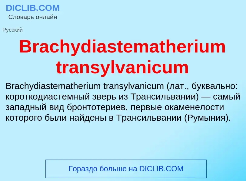 What is Brachydiastematherium transylvanicum - meaning and definition