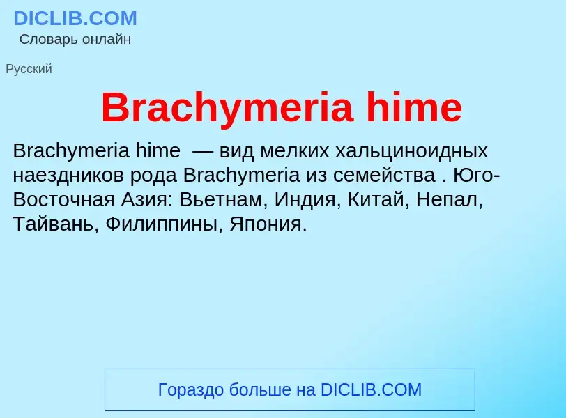 What is Brachymeria hime - meaning and definition