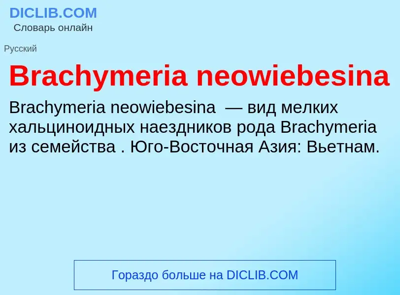 What is Brachymeria neowiebesina - meaning and definition