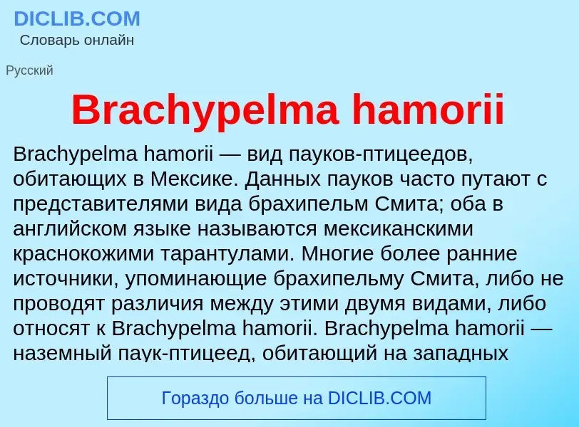 Was ist Brachypelma hamorii - Definition