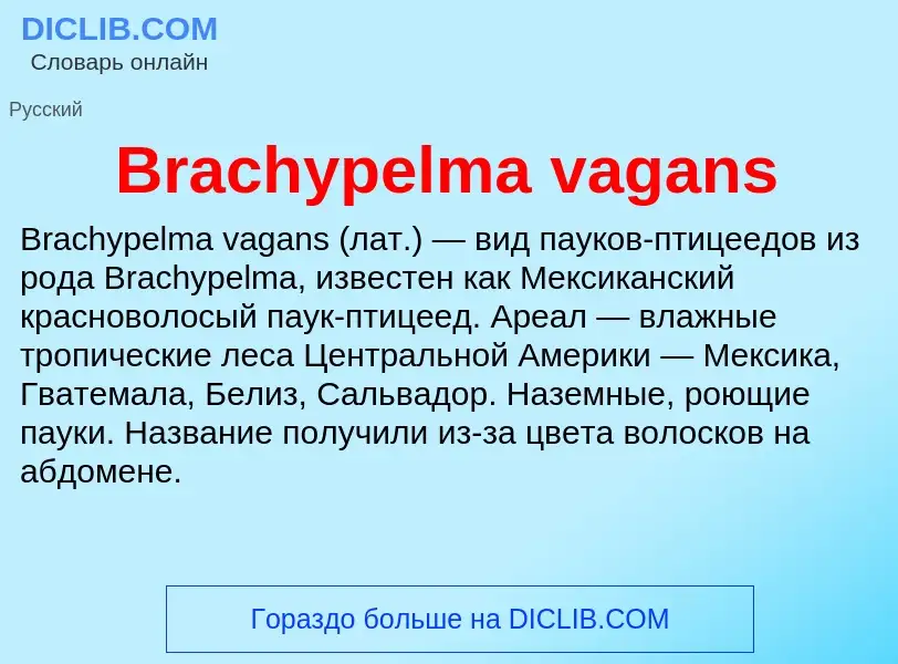 What is Brachypelma vagans - meaning and definition