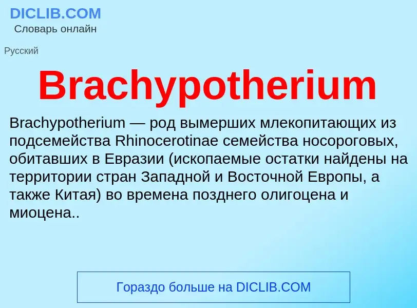 Was ist Brachypotherium - Definition