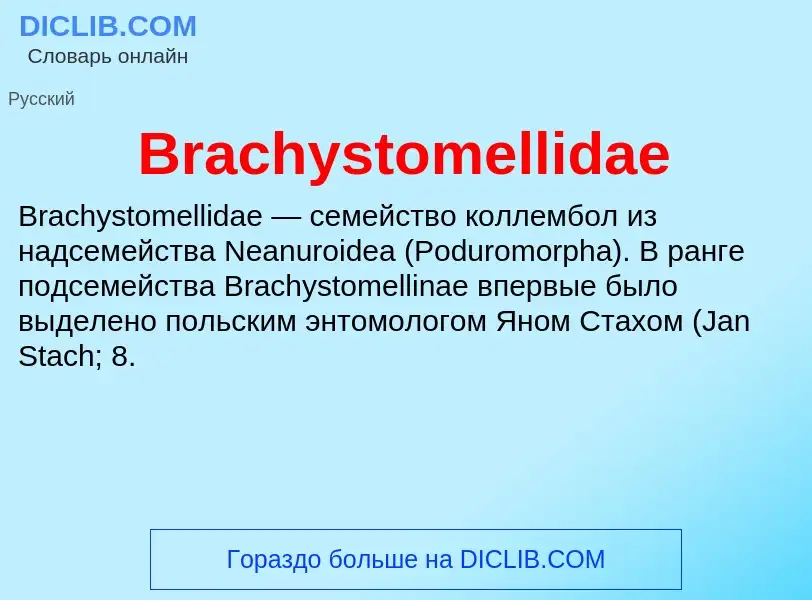 What is Brachystomellidae - meaning and definition