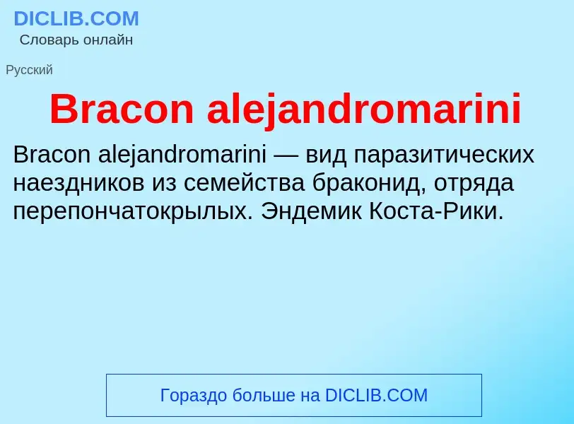 Was ist Bracon alejandromarini - Definition