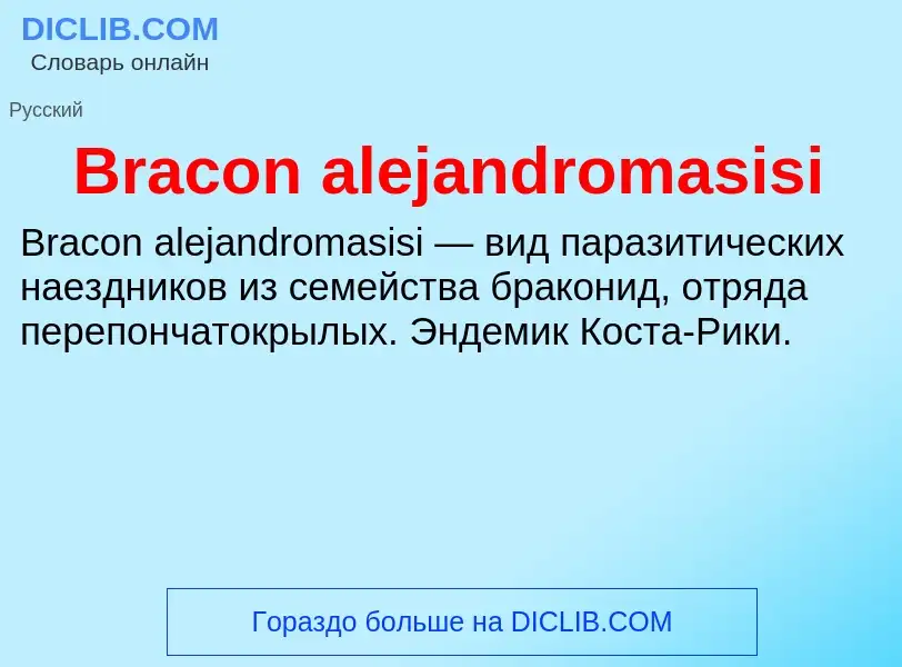 What is Bracon alejandromasisi - meaning and definition