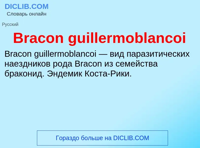 Was ist Bracon guillermoblancoi - Definition