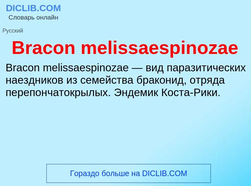 What is Bracon melissaespinozae - meaning and definition