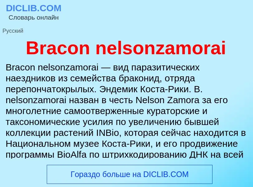 Was ist Bracon nelsonzamorai - Definition