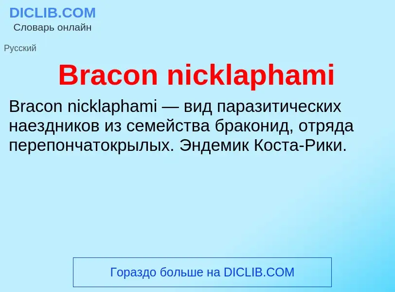 Was ist Bracon nicklaphami - Definition