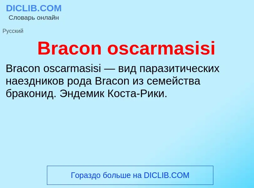 Was ist Bracon oscarmasisi - Definition