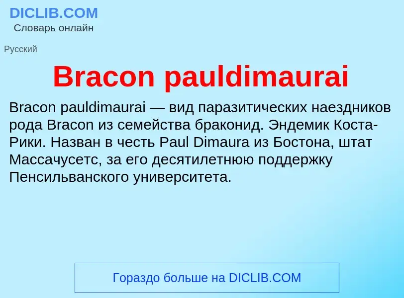 Was ist Bracon pauldimaurai - Definition