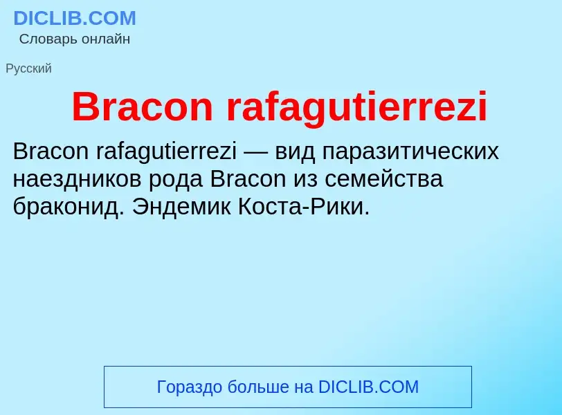 Was ist Bracon rafagutierrezi - Definition