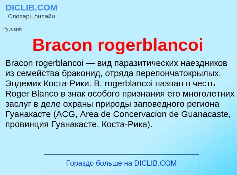 What is Bracon rogerblancoi - meaning and definition